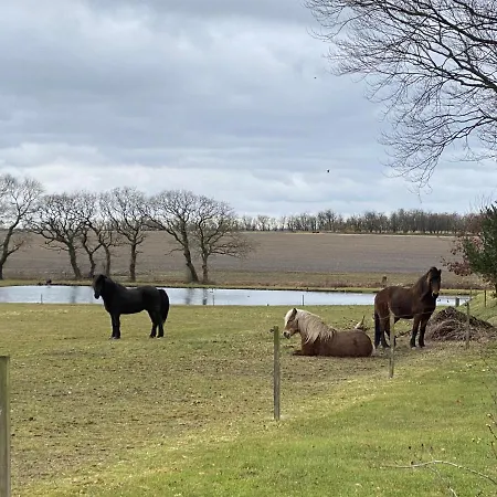 Hyggelig Aftaegtsbolig I Hjertet Af Sonderjylland Vakantiehuis